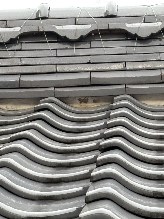 施工前（屋根）