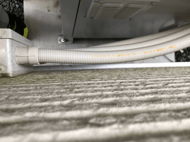 施工前（コケ）