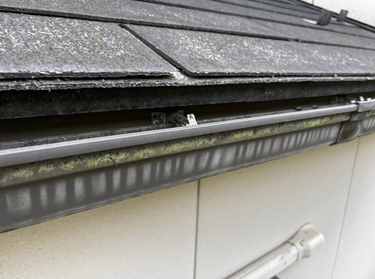 施工前（カビ）