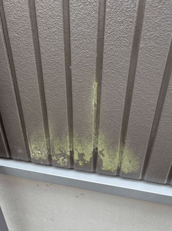 施工前（コケ）