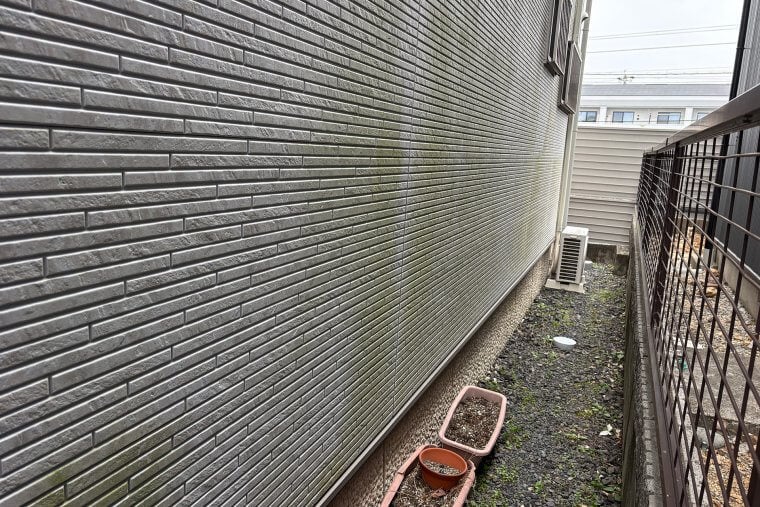 施工前（コケ）