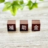 「補助金」と記された木製ブロックと背景の観葉植物
