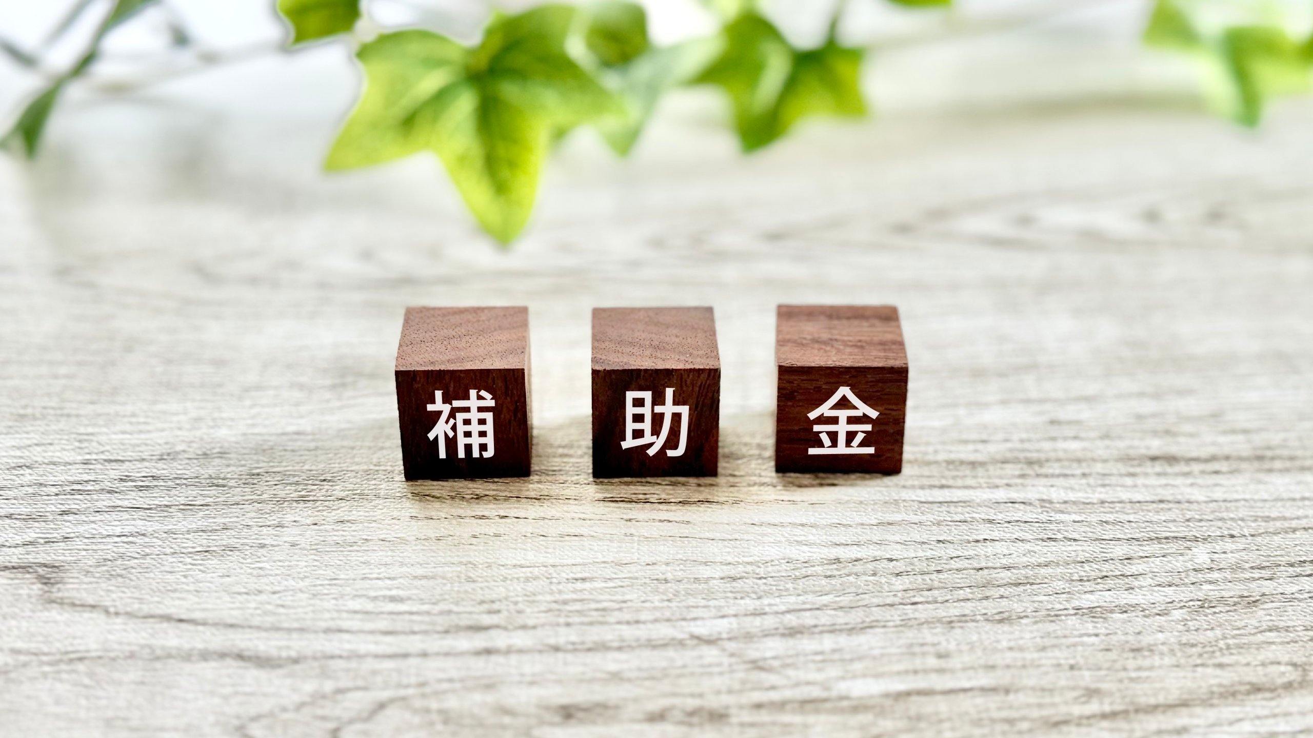 「補助金」と記された木製ブロックと背景の観葉植物